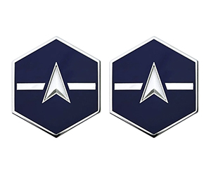 Space Force E2 Specialist 2 Metal Rank Insignia